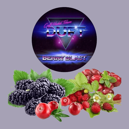Табак Duft - Berry Blast (Ягодный Взрыв, 20 грамм) купить в Челябинске