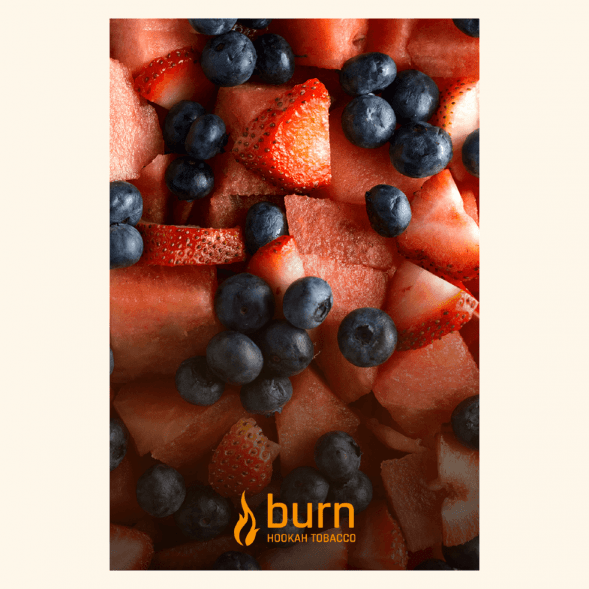 Табак Burn - Berried Treasure (Ягодный Микс, 100 грамм) купить в Челябинске