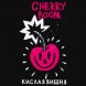 Табак Хулиган Hard - Cherry Boom (Кислая Вишня, 25 грамм) купить в Челябинске