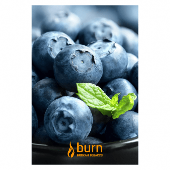 Табак Burn - Blueberry Mint (Черника с Мятой, 100 грамм) купить в Челябинске