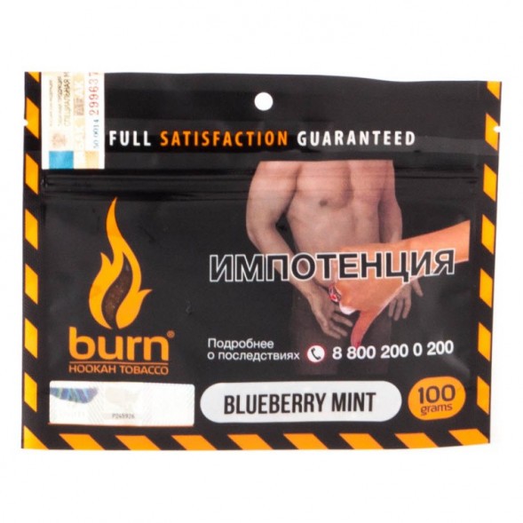 Табак Burn - Blueberry Mint (Черника с Мятой, 100 грамм) купить в Челябинске