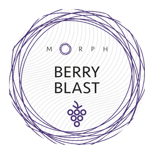 Табак Morph Soft - Berry blast (Ягодный Микс, 50 грамм) купить в Челябинске