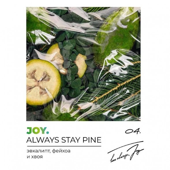 Табак Joy - Always Stay Pine (Эвкалипт, Фейхоа и Хвоя, 25 грамм) купить в Челябинске