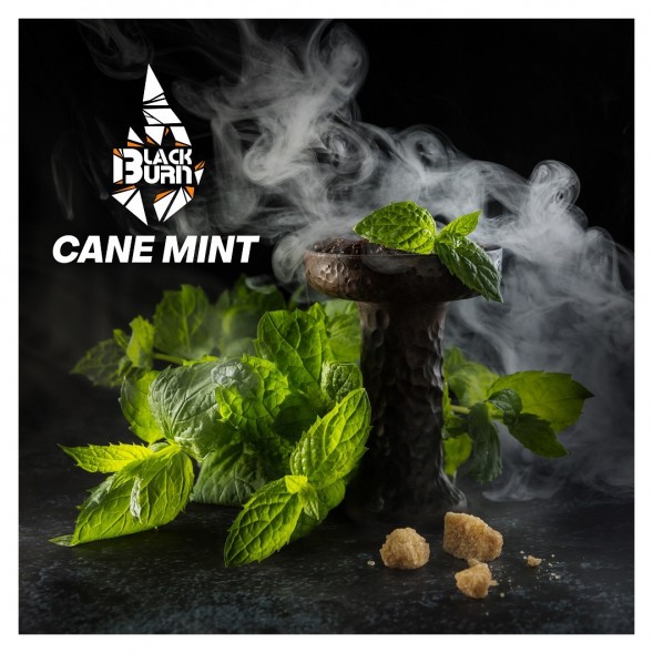 Табак BlackBurn - Cane Mint (Тростниковая Мята, 100 грамм) купить в Челябинске