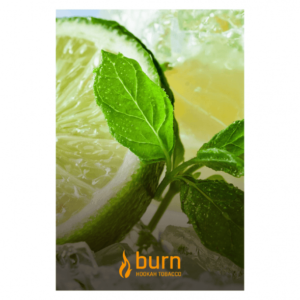 Табак Burn - Lemon Mint (Лимон с Мятой, 100 грамм) купить в Челябинске