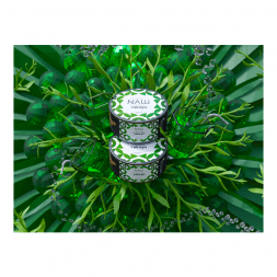 Табак NАШ - Тархун (40 грамм)