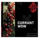Табак Jent - Currant WOW (Кислая Смородина, 200 грамм) купить в Челябинске