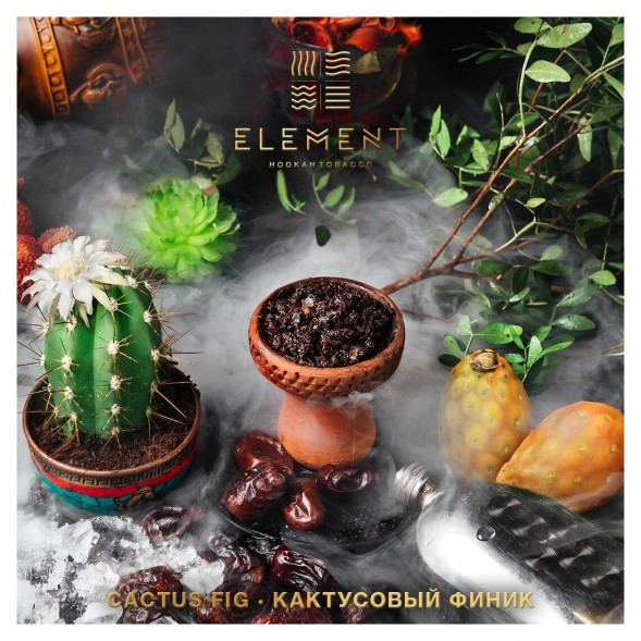 Табак Element Вода - Cactus Fig (Кактусовый финик, 100 грамм) купить в Челябинске