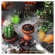 Табак Element Вода - Cactus Fig (Кактусовый финик, 100 грамм) купить в Челябинске