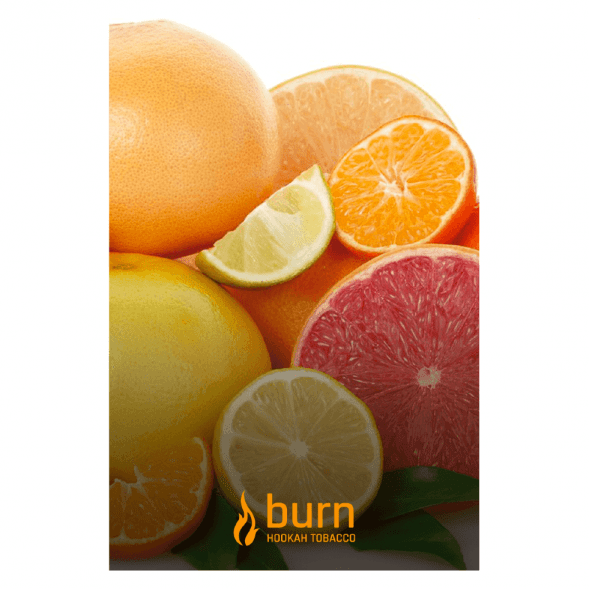 Табак Burn - Sundaysun (Цитрусовый Микс, 100 грамм) купить в Челябинске