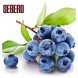 Табак Sebero - Blueberry (Голубика, 25 грамм) купить в Челябинске