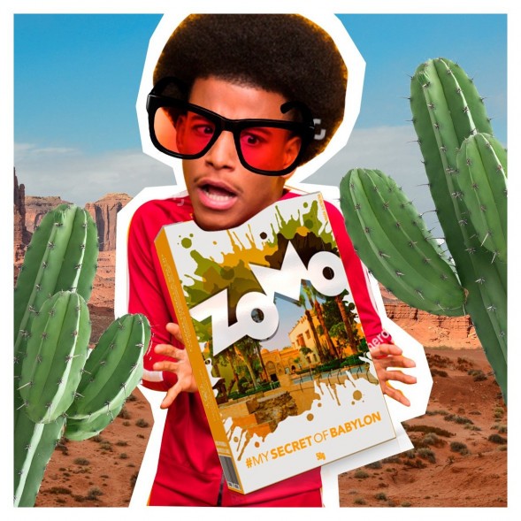 Табак Zomo - Secret Babylon (Сикрет Бабилон, 50 грамм) купить в Челябинске