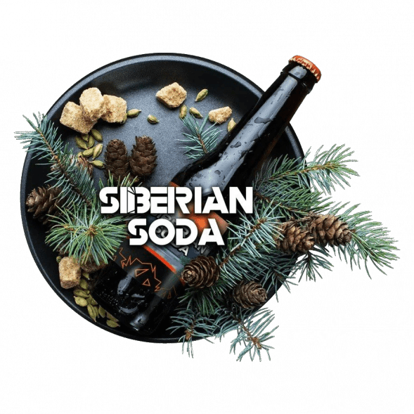 Табак BlackBurn - Siberian Soda (Лимонад Байкал, 100 грамм) купить в Челябинске