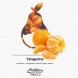Табак MattPear - Tangerine (Мандарин, 50 грамм) купить в Челябинске