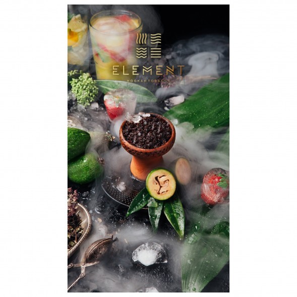 Табак Element Вода - Feijoa (Фейхоа, 100 грамм) купить в Челябинске