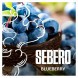 Табак Sebero - Blueberry (Голубика, 100 грамм) купить в Челябинске