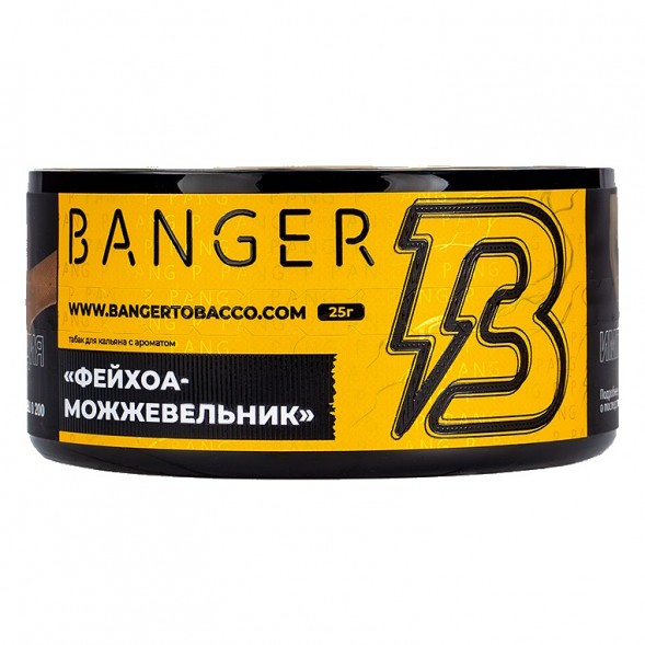 Табак Banger - Evergreen (Фейхоа Можжевельник, 25 грамм) купить в Челябинске