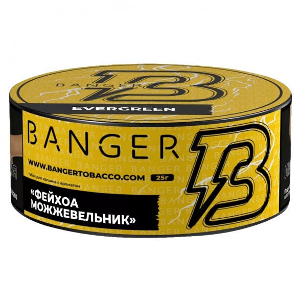 Табак Banger - Evergreen (Фейхоа Можжевельник, 25 грамм) купить в Челябинске