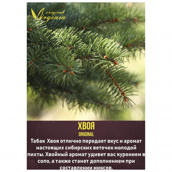 Табак Original Virginia ORIGINAL - Хвоя (50 грамм) купить в Челябинске