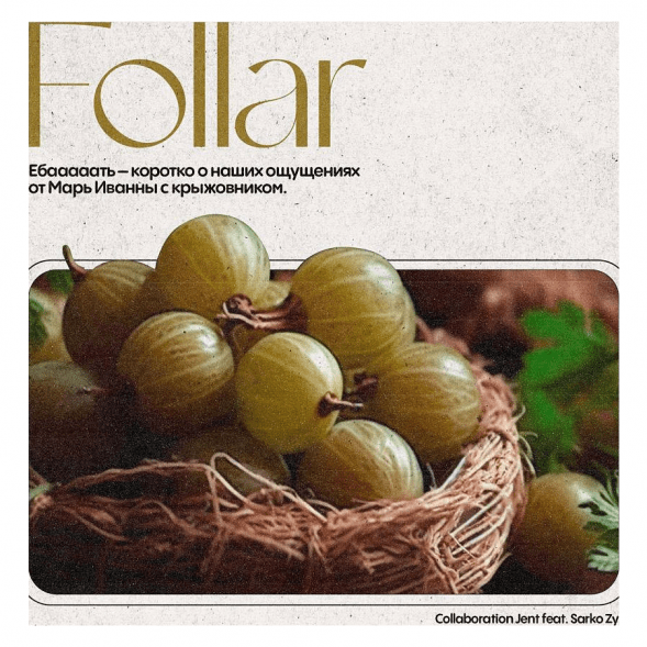 Табак Jent - Follar (Марь Иванна с Крыжовником, 200 грамм) купить в Челябинске