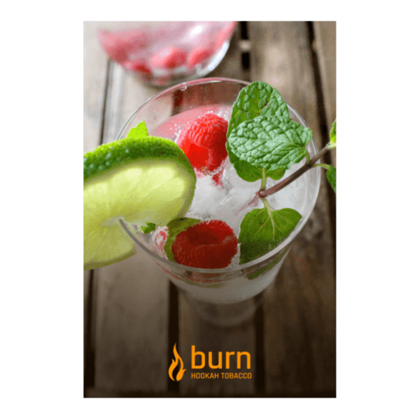 Табак Burn - Kamikaze (Лайм Малина Лед, 25 грамм) купить в Челябинске