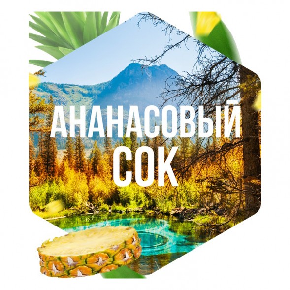 Табак Сарма - Ананасовый Сок (200 грамм) купить в Челябинске