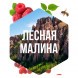 Табак Сарма - Лесная Малина (100 грамм) купить в Челябинске
