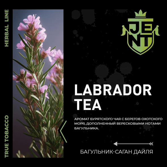 Табак Jent - Labrador Tea (Багульник и Саган Дайля, 25 грамм) купить в Челябинске