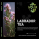 Табак Jent - Labrador Tea (Багульник и Саган Дайля, 25 грамм) купить в Челябинске