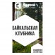 Табак Сарма - Байкальская Клубника (25 грамм) купить в Челябинске