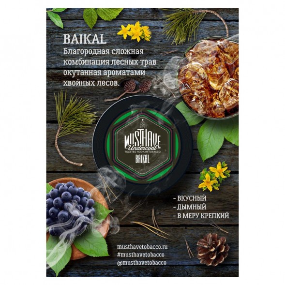 Табак Must Have - Baikal (Байкал, 25 грамм) купить в Челябинске