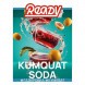 Табак Ready - №3 Kumquat Soda (Газировка, Кумкват, 25 грамм) купить в Челябинске