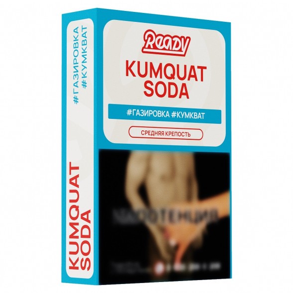 Табак Ready - №3 Kumquat Soda (Газировка, Кумкват, 25 грамм) купить в Челябинске