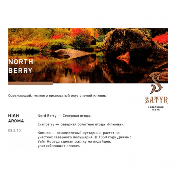 Табак Satyr - North Berry (Северная Ягода, 25 грамм) купить в Челябинске
