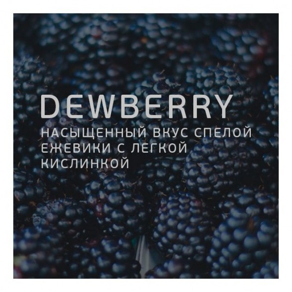 Табак Twelve - Dewberry (Ежевика, 100 грамм, Акциз) купить в Челябинске