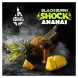 Табак BlackBurn - Ananas Shock (Кислый Ананас, 25 грамм) купить в Челябинске