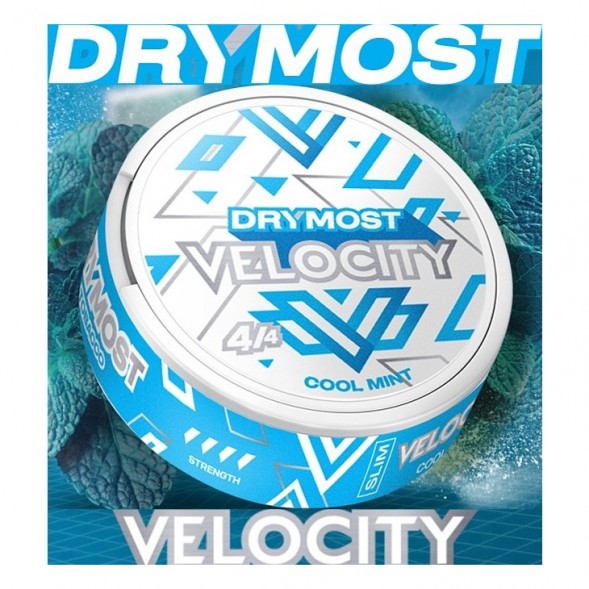 Табак жевательный DryMost - Velocity Mini (12 грамм) купить в Челябинске