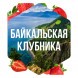 Табак Сарма - Байкальская Клубника (40 грамм) купить в Челябинске