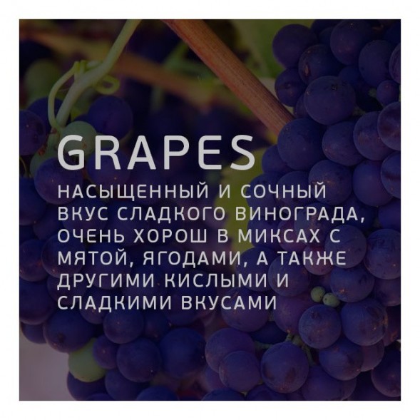 Табак Twelve - Grapes (Виноград, 100 грамм, Акциз) купить в Челябинске