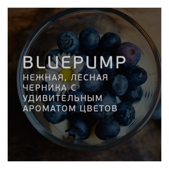 Табак Twelve - Blue Pump (Черника, 100 грамм, Акциз) купить в Челябинске